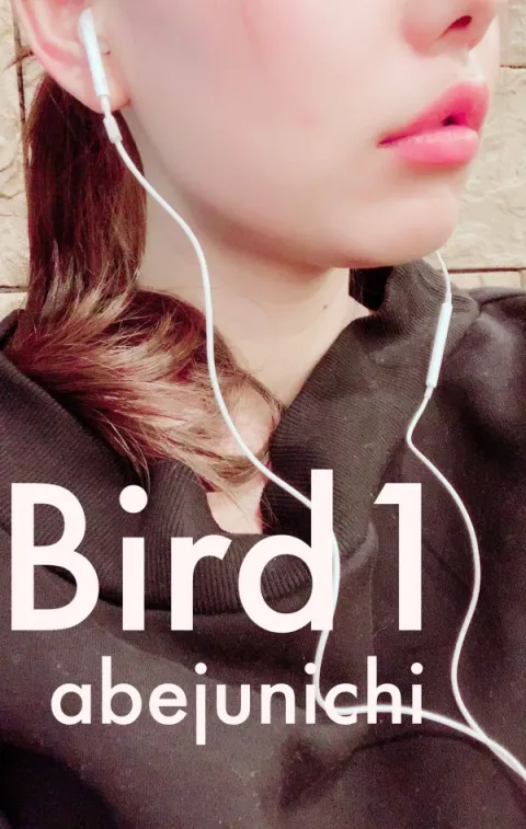 Bird1完全版